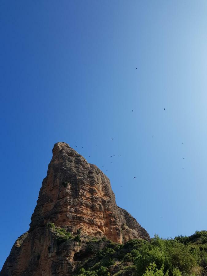 Natura Jordan Murillo de Gállego Exterior foto